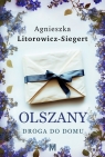 Droga do domu Agnieszka Litorowicz-Siegert