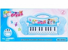 Organy światło/dźwięk