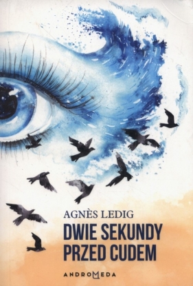 Dwie sekundy przed cudem - Agnes Ledig