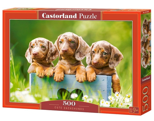 Puzzle 500 el. B-53605 Cute Dachshunds