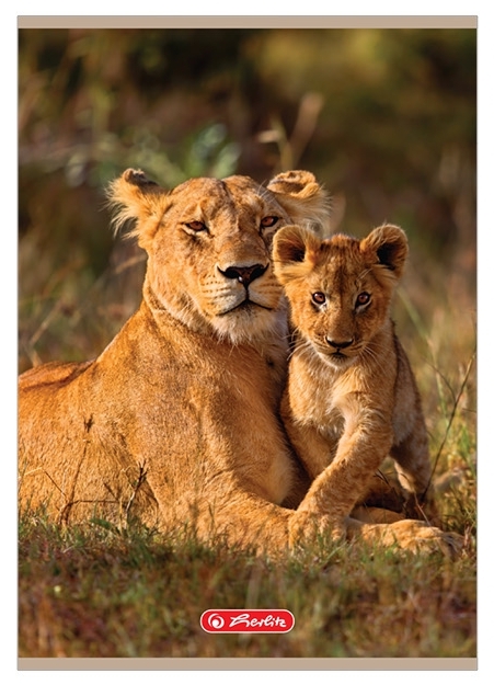 <img src='https://webimage.pl/pics/605/3/d5901389583045.png'>