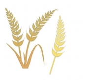 Zestaw wykrojników kłosy pszenicy 2szt