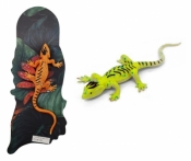 Zwierzęta jaszczurka zmieniająca kolor