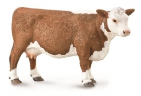 Krowa rasy Hereford (88860)