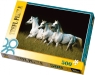 PUZZLE 500 Araby 39060 (37060)