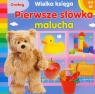 Pierwsze słówka malucha Wielka księga