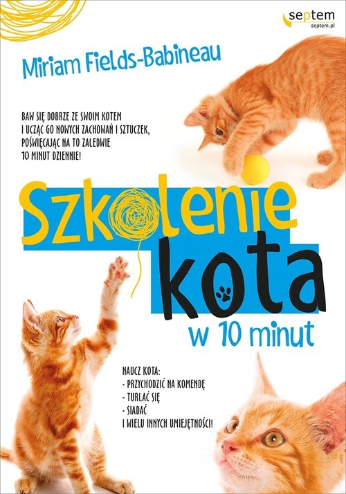 Szkolenie kota w 10 minut