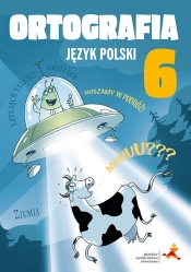 Język polski 6. Ortografia. Zasady i ćwiczenia - Anna Halasz, Piotr Borys