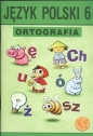 Język polski Ortografia klasa 6 Szkoły Podstawowej - Anna Halasz, Piotr Borys