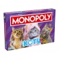 Monopoly Koty