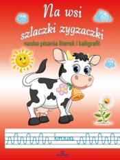 Na wsi szlaczki zygzaczki - Jarosław Żukowski