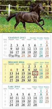 Kalendarz 2014 Koń - <br />