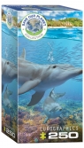  Puzzle 250 Dolphins 8251-55605+