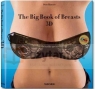 Big Book of Breasts 3D