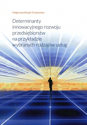 Determinanty innowacyjnego rozwoju przedsiębiorstw na przykładzie wybranych rodzajów usług - Brojak-Trzaskowska M<br />