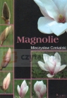 Magnolie