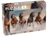 Puzzle 56: Wild Horses