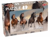 Puzzle 56: Wild Horses