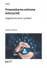 Prawnokarna ochrona wierzycieli Zagadnienia teorii i praktyki Krystyna Patora