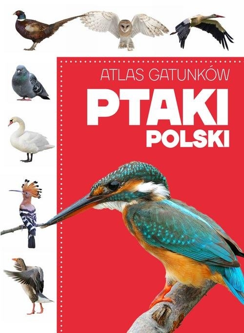 Atlas gatunków Ptaki Polski (Uszkodzona okładka)