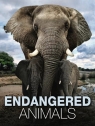  Endangered Animals