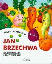 Na straganie i inne wiersze - Jan Brzechwa