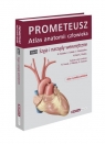 Prometeusz Atlas Anatomii Człowieka Tom 2 Szyja i narządy wewnętrzne Schunke M.,Schulte E., Schumacher U., Voll M., Wesker K.