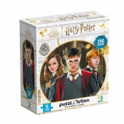 Puzzle, Harry Potter - Hogwart, 250 el.
