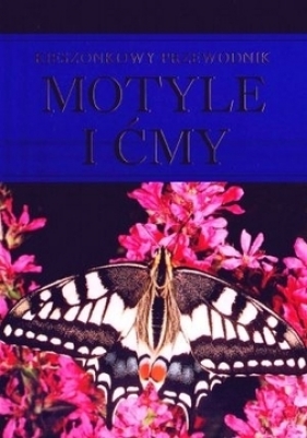 Motyle i ćmy. Kieszonkowy przewodnik - Elizabeth Balmer