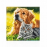 Diamond Dotz - Purrfect Day