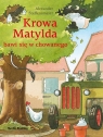 Krowa Matylda bawi się w chowanego BR Alexander Steffensmeier