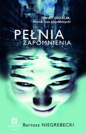 Pełnia Zapomnienia - Bartosz Niegrebecki