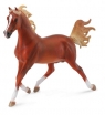 Koń arabski stallion chestnut (89461)