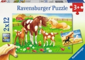 Puzzle 2X12 Zwierzęta na łace (075614)