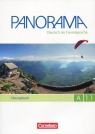 Panorama A1.1 UBungsbuch+DaF + CD