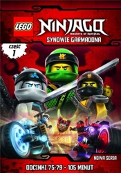 Lego Ninjago. Synowie Garmadona cz.1 DVD - Michael Helmuth Hansen