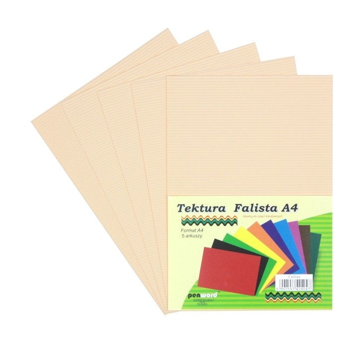 Tektura A4 falista cielista 5szt