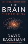 The Brain The Story of You David Eagleman