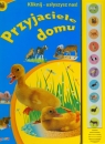 Przyjaciele domu