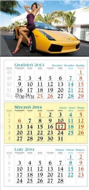 Kalendarz 2014 Natasza - <br />