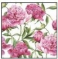 Serwetki TL572000 Pink Peonies