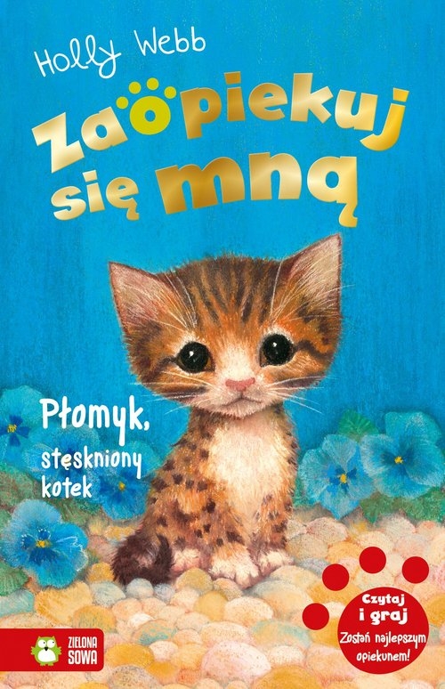 Zaopiekuj się mną -  Płomyk stęskniony kotek