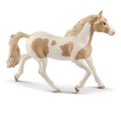Klacz rasy Paint Horse SLH13884