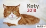 Kalendarz 2018 Biurkowy Koty