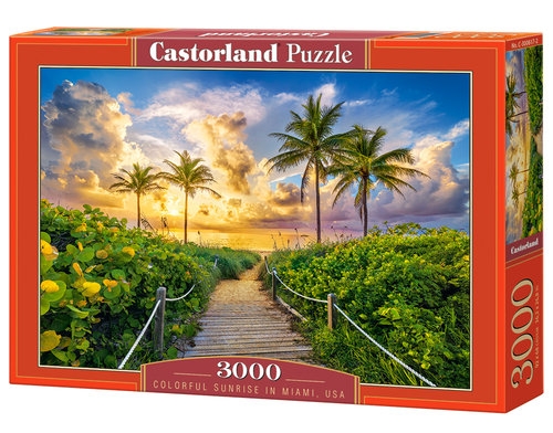 Puzzle 3000 Colorful Sunrise in Miami, USA