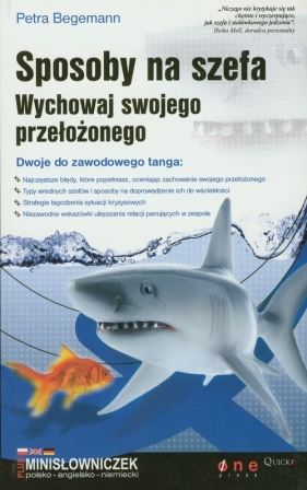 Sposoby na szefa - Begemann Petra