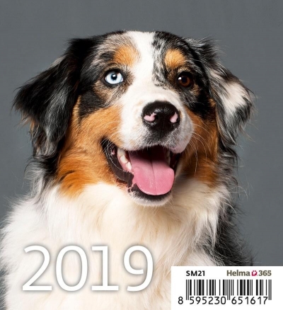 Kalendarz 2019 Biurkowy Mini Pieski HELMA