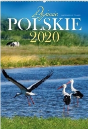 Kalendarz 2020 Reklamowy Pejzaże polskie RW01