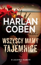 Wszyscy mamy tajemnice. Kolekcja W labiryncie kłamstw. Tom 25 - Harlan Coben