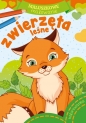Maluszkowe malowanie. Zwierzęta leśne - Opracowanie zbiorowe